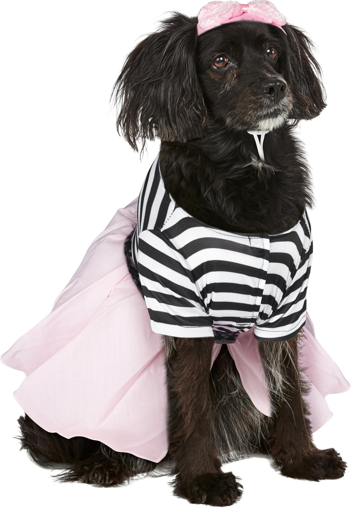 Rubies Costume Co Halloween Classics Collection Pet Costume, Medium, 50s Girl Dress