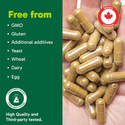 Organika Canadian-Made Ashwagandha with Black Pepper- Enhanced Absorption, Memory Support, Sleep Aid, Adaptogenic- 90vcaps 🍁 All In One Marketplace Canada