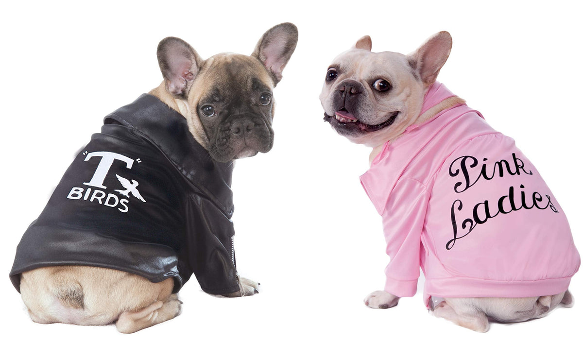 Rubies Grease 40th Anniversary Pet Pink Ladies Jacket for Themed Parties and Halloween, X-Small