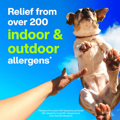 Claritin Allergy Medicine, 24-Hour Non-Drowsy Relief 10 mg, 50 Tablets 🍁 All In One Marketplace Canada