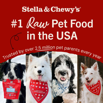 Stella & Chewy’s Freeze Dried Raw Dinner Patties – Grain Free Dog Food, Protein Rich Dandy Lamb Recipe – 156g Bag 🍁 All In One Marketplace Canada
