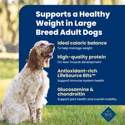 Blue Buffalo Life Protection Formula Chicken & Brown Rice Healthy Weight Large Breed Adult Dry Dog Food, Supports Immunity with LifeSource Bits, Promotes Healthy Lean Muscles,11.7kg/26 lbs 🍁 All In One Marketplace Canada