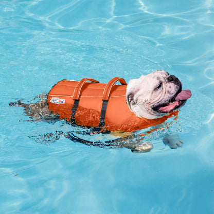 Outward Hound Granby Splash Dog Life Jacket with Handle, Reflective Floating Vest for Swimming & Boating, Maximum Buoyancy, All Skill Levels, Extra-Small Dogs & Puppies (11–15" Girth), Orange, X-Small 🍁 All In One Marketplace Canada