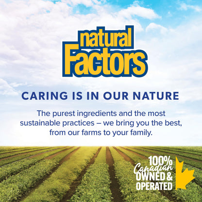 Natural Factors K2 Vitamin Supplement 100 mcg, VALUE SIZE, 360 Vegetarian Capsules, MK-7 from Natto Bean, Helps Support Bones, Vegan, Non-GMO, Proudly Canadian 🍁 All In One Marketplace Canada