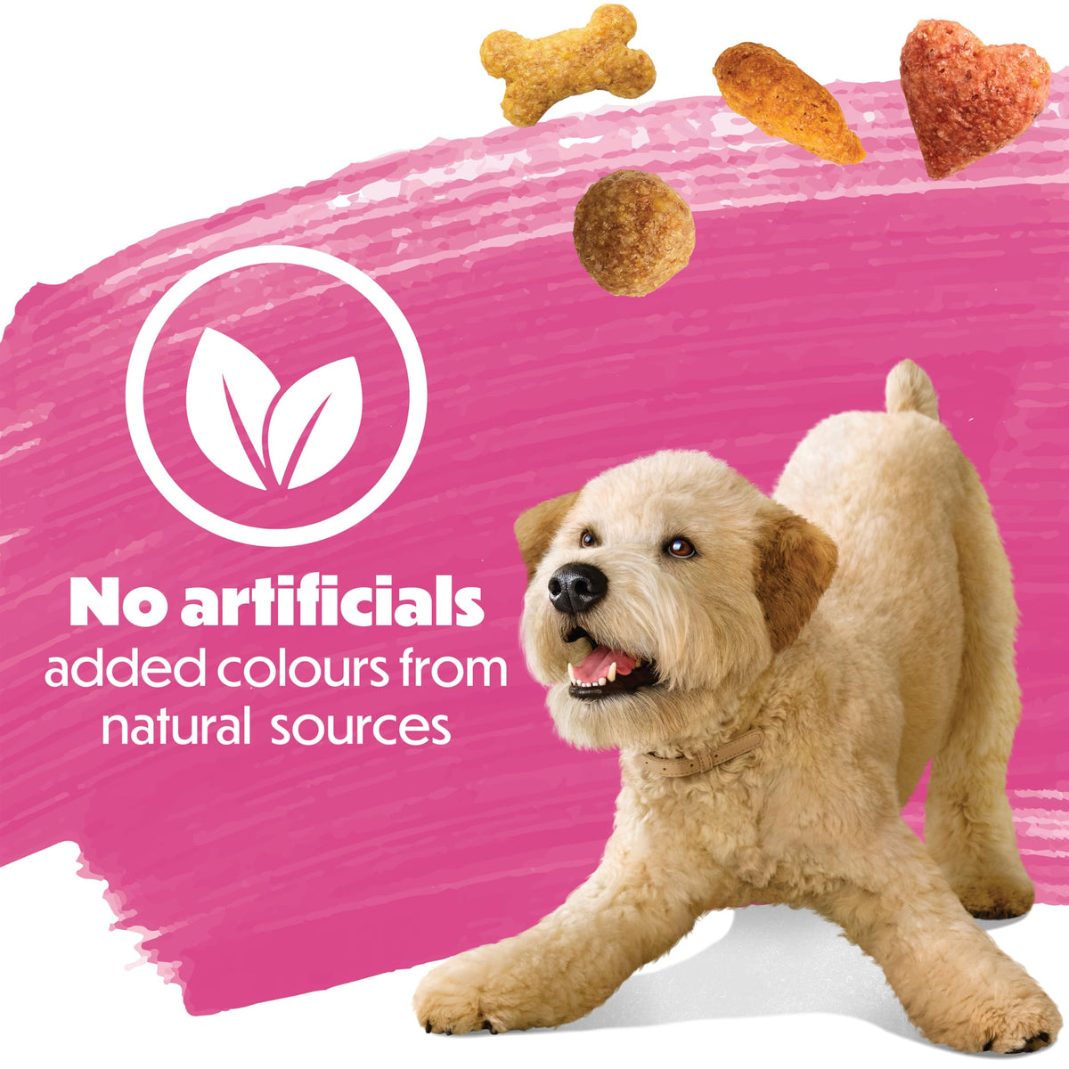Beneful Originals Dry Dog Food, Real Salmon - 7 kg Bag 🍁 All In One Marketplace Canada
