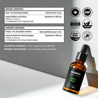 Organic Mullein Leaf Extract for Lungs - 4 Fl Oz - Herbal Tincture for Lung Cleanse & Flush - Natural Mullein Tea Alternative - Mullein Supplement Drops for Lungs - 1,000mg Equivalent Per Serving 🍁 All In One Marketplace Canada
