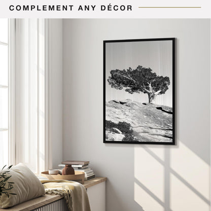 MCS Everline Collection 16x24 Poster Frame Black, Vertical & Horizontal Wall Hanging Large Picture Frame for Photos, Posters & Art Prints (1-Pack) 🍁 All In One Marketplace Canada