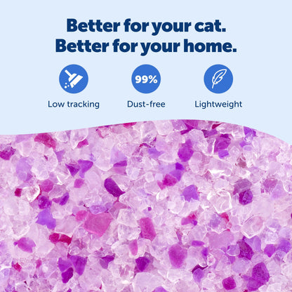 PetSafe ScoopFree Premium Lavender Crystal Cat Litter, 3-Pack – Lightly Scented Litter – Superior Odor Control – Low Tracking for Less Mess – Lasts Up to 6 Months, 24 lb Total (3 Pack of 8 lb Bags) 🍁 All In One Marketplace Canada