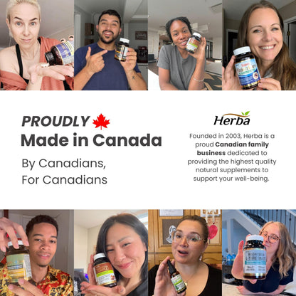 Herba Glycine Supplement 750mg - 180 Capsules | >99% Ultra Pure Glycine Capsules | Free-form Proteinogenic Amino Acids Supplements | Made in Canada 🍁 All In One Marketplace Canada