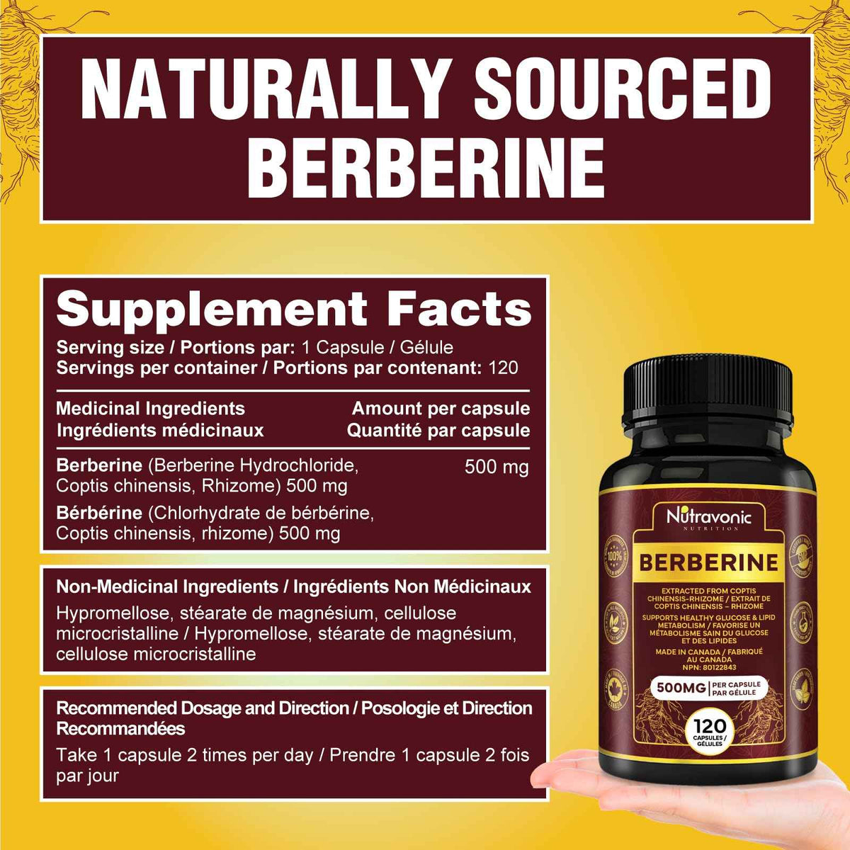 Nutravonic Berberine Supplements 1000mg Per Serving, 500mg Per Capsule | Made in Canada I Supports Healthy Glucose & Lipid Metabolism | Non-GMO, Vegan, Gluten-free, 120 Easy-to-Swallow Capsules 🍁 All In One Marketplace Canada
