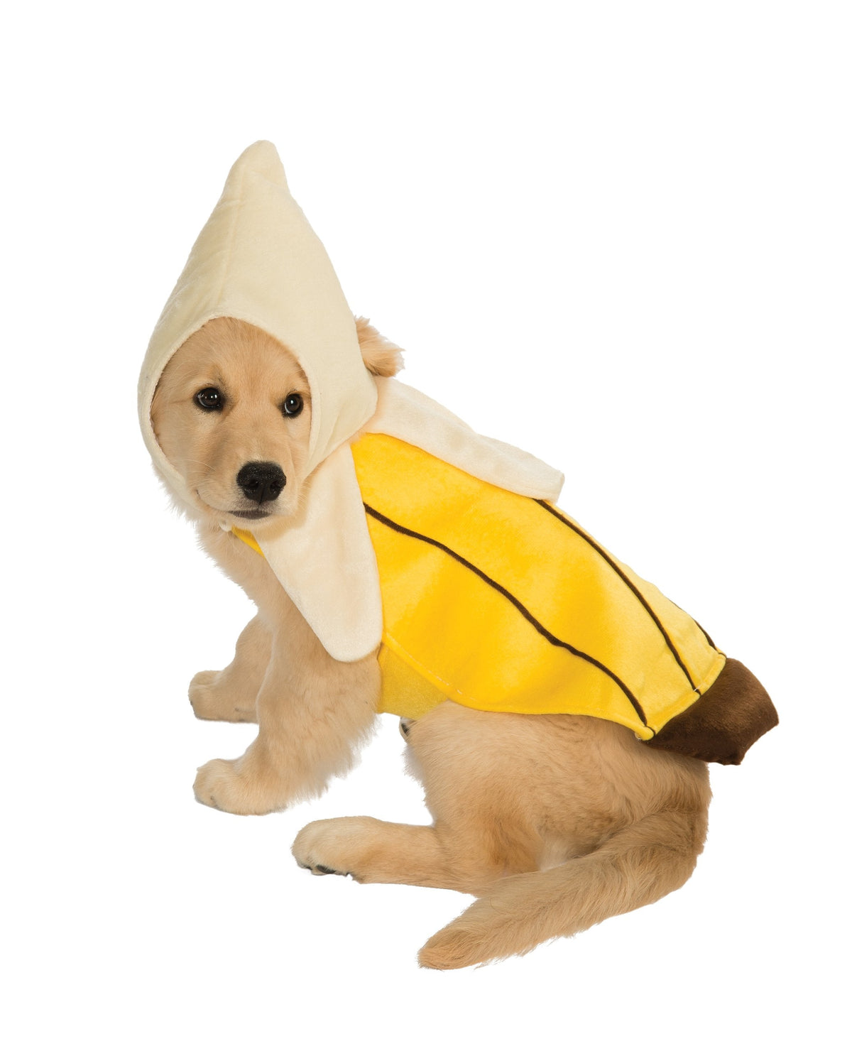 Rubies Costume Co Halloween Classics Collection Pet Costume, Large, Banana