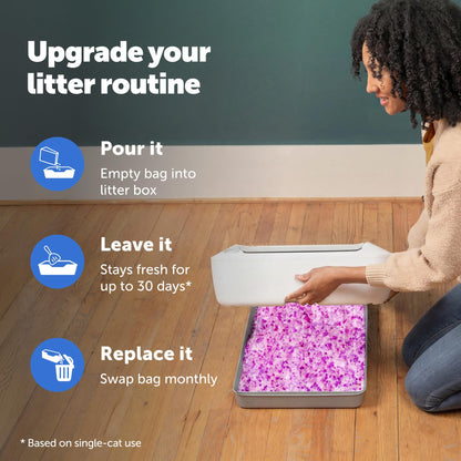 PetSafe ScoopFree Premium Lavender Crystal Cat Litter, 3-Pack – Lightly Scented Litter – Superior Odor Control – Low Tracking for Less Mess – Lasts Up to 6 Months, 24 lb Total (3 Pack of 8 lb Bags) 🍁 All In One Marketplace Canada