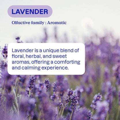 ATTITUDE Liquid Laundry Detergent Refill, EWG Verified, HE Compatible, Plant-Based & Vegan, Natural Laundry Soap, Made in Canada, Lavender Scent, 160 Loads, 4 Liters 🍁 All In One Marketplace Canada