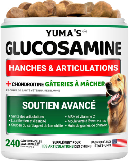 Glucosamine for Dogs - 240 Chews - Hip and Joint Supplement for Dogs with Chondroitin, MSM & Turmeric - Joint Pain Relief for Senior Dogs - All Breeds - Mobility Support - Value Pack - Made in USA 🍁 All In One Marketplace Canada