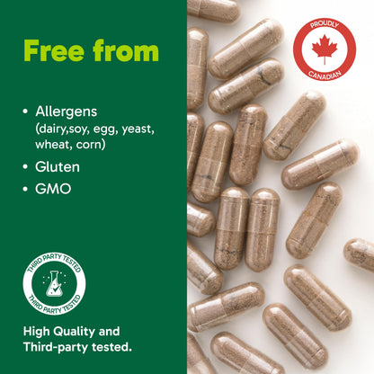 Organika Canadian-Made Chanca Piedra 500 mg - UTI Support | Kidney, Gallblader and Urinary Support, Cleansing- 90 vcaps 🍁 All In One Marketplace Canada