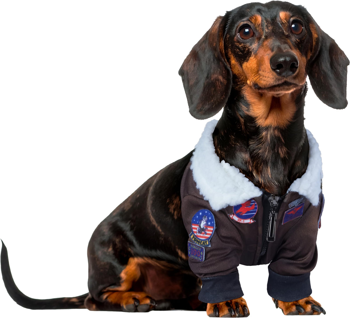 Rubies Top Gun Classic Movie Pet Costume, X-Large for Themed Parties and Halloween