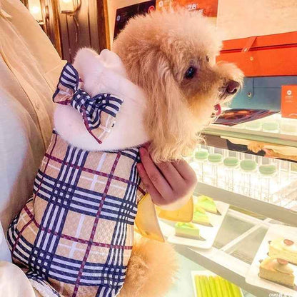 Brrbrry Plaid Dog Trench Coat | Classic Dog Outerwear