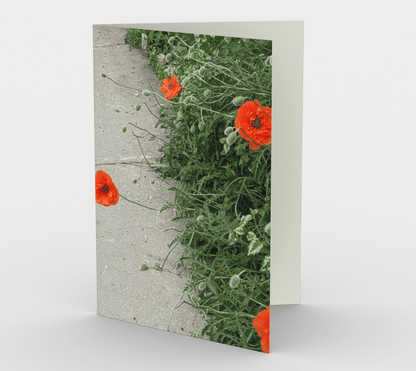 Set of 3 Blank Greeting Cards | 5 x 7 | Peripheral Poppies