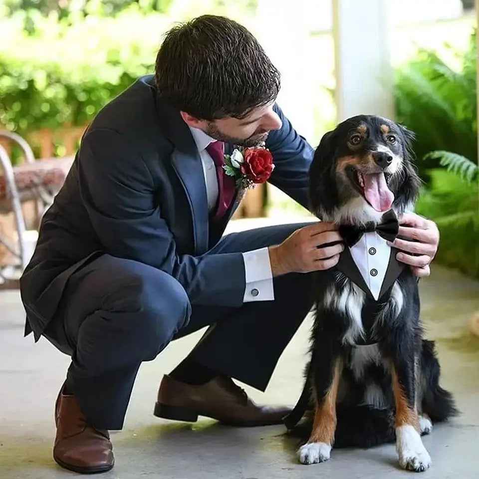Best Man Collar
