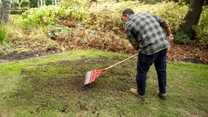 Scotts Turf Builder Quick + Thick Grass Seed (Dense Shade) 1.2kg (12675) 🍁 All In One Marketplace Canada