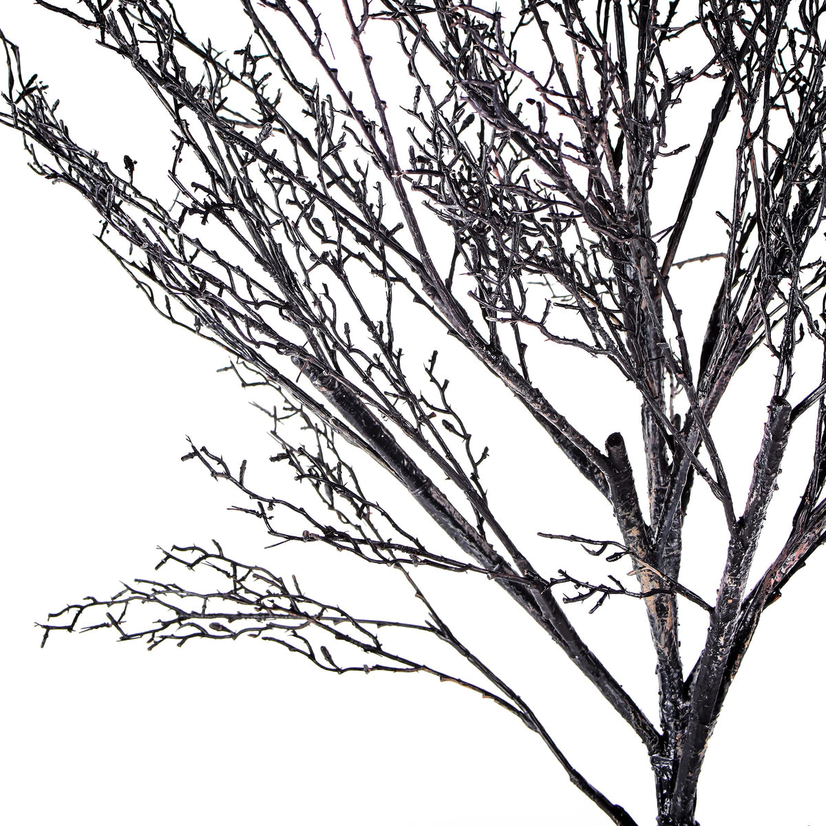 National Tree Company Artificial Tree Decoration, Black, Leafless, Includes Stand, Halloween Collection, 68 Inches