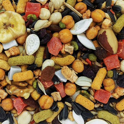 Hagen B2821 Gourmet Parrot Mix, 1.8 Kg, 4-Pound 🍁 All In One Marketplace Canada