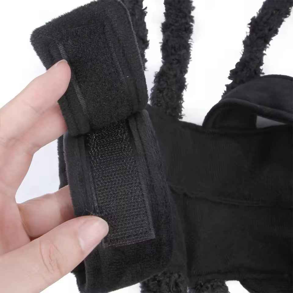 Spider Dog Halloween Costume | Dog Costume Outfit
