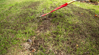 Scotts Turf Builder Quick + Thick Grass Seed (Sun and Shade Mix), 2.8kg (403 sq Meters / 4,347 sq feet Coverage) | Grow a Thick, Green Lawn Fast. for Areas That Experience Sun & Shade 🍁 All In One Marketplace Canada