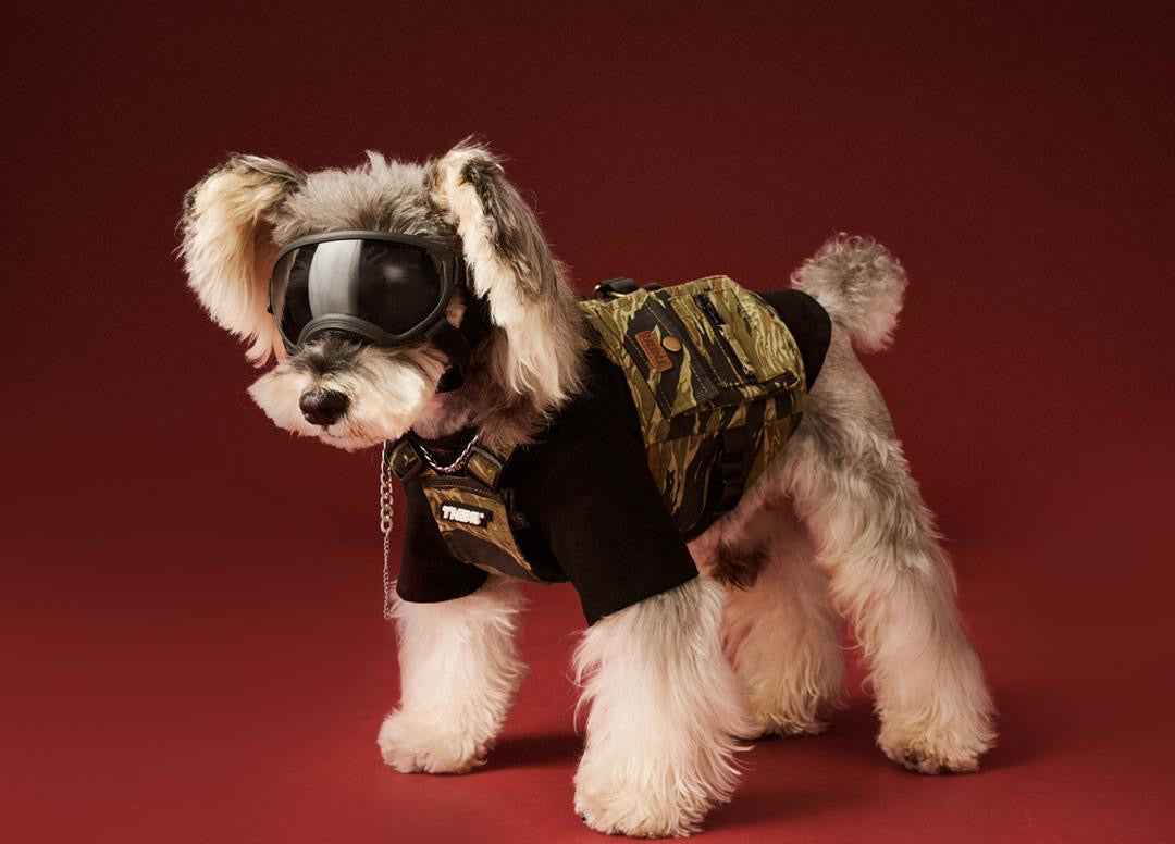 Fall Dog Vest | Dog Vest for Cool Weather