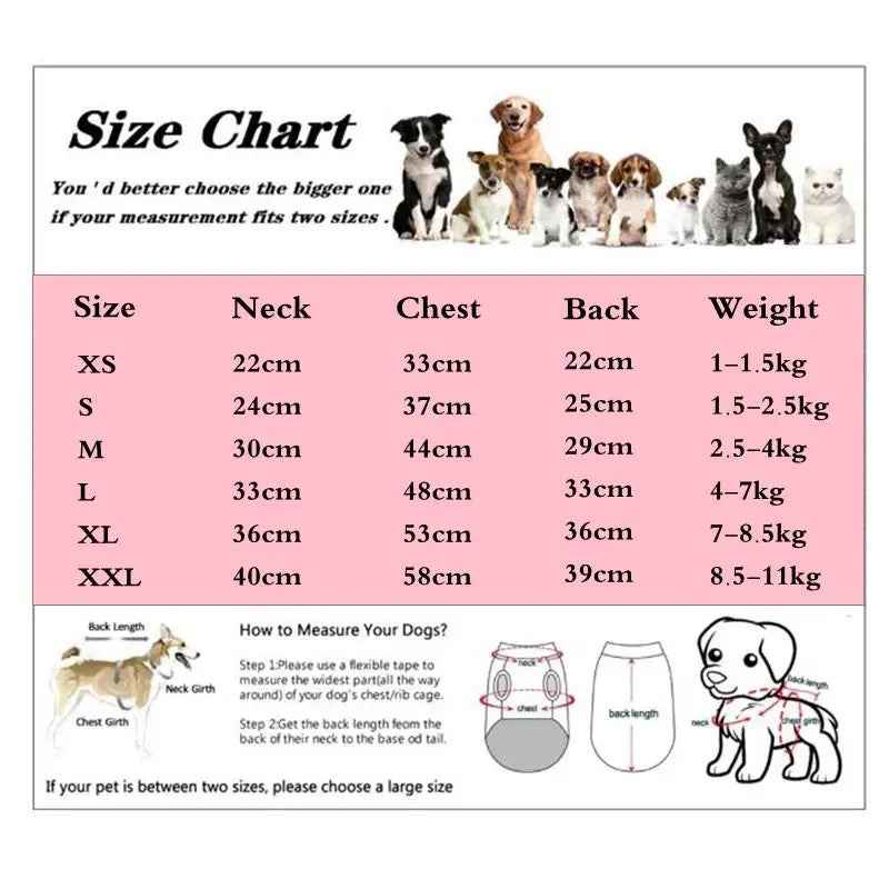 Dog Jacket | Sweetheart Dog Coat
