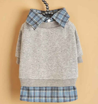 Adam Dog Sweater | Layered Dog Shirt and Knit Sweater