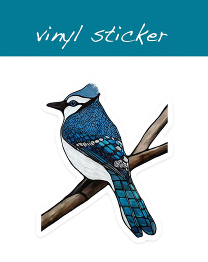 Vinyl-Aufkleber – Blauhäher