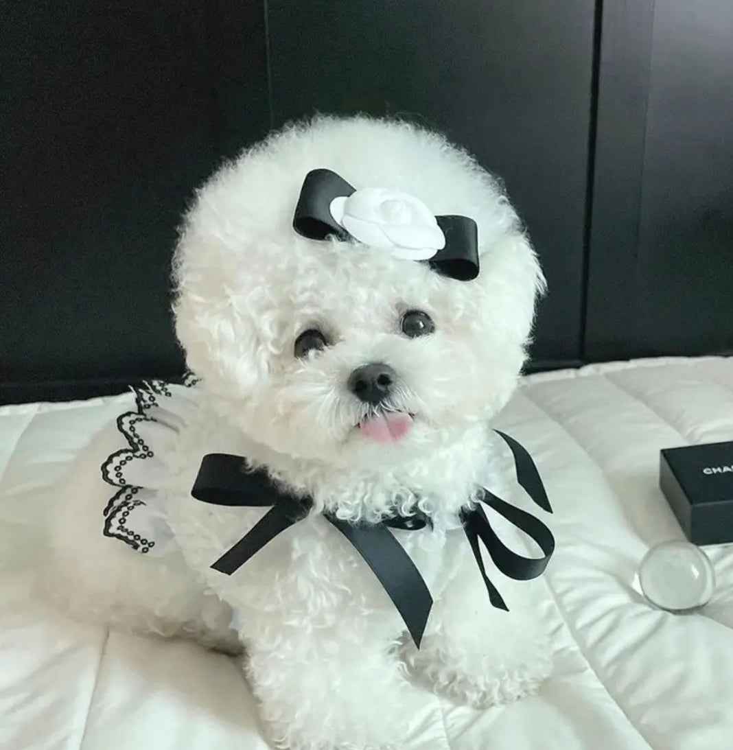 Coco Chewnel Pearl Dog Dress | Elegant Dog Dress