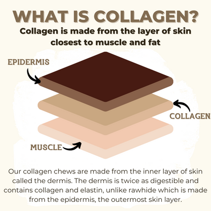 10-12 Inch Collagen Stick