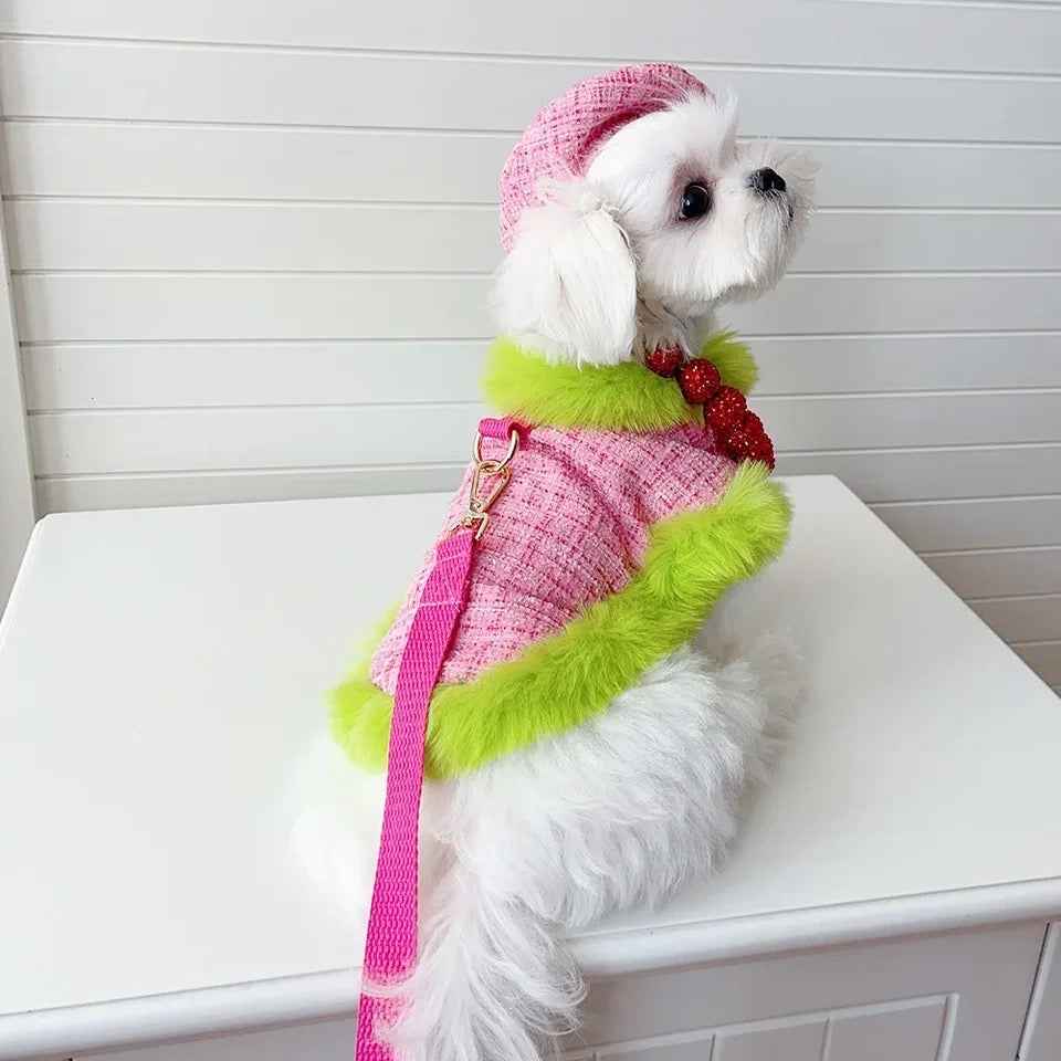 Plaid Harness Set | Dog Harness Leash and Hat Set
