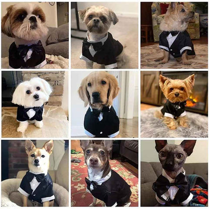 Midnight Regent Two-Piece Dog Suit | Formal Dog Outfit Set