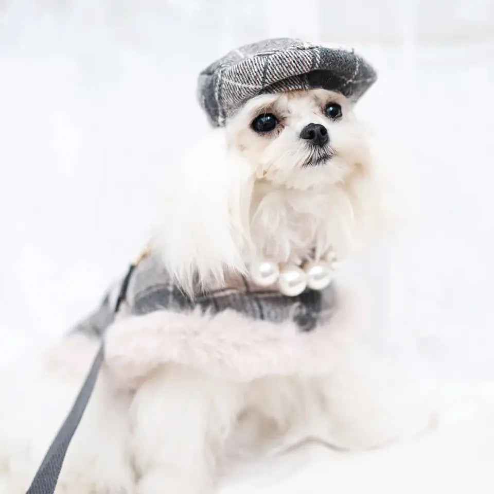 Ophelia Plaid Dog Harness Set | Outfit with Hat and Leash