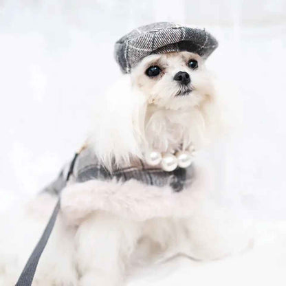 Ophelia Plaid Dog Harness Set | Outfit with Hat and Leash