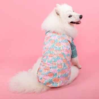 Petunia Dress/Shirt