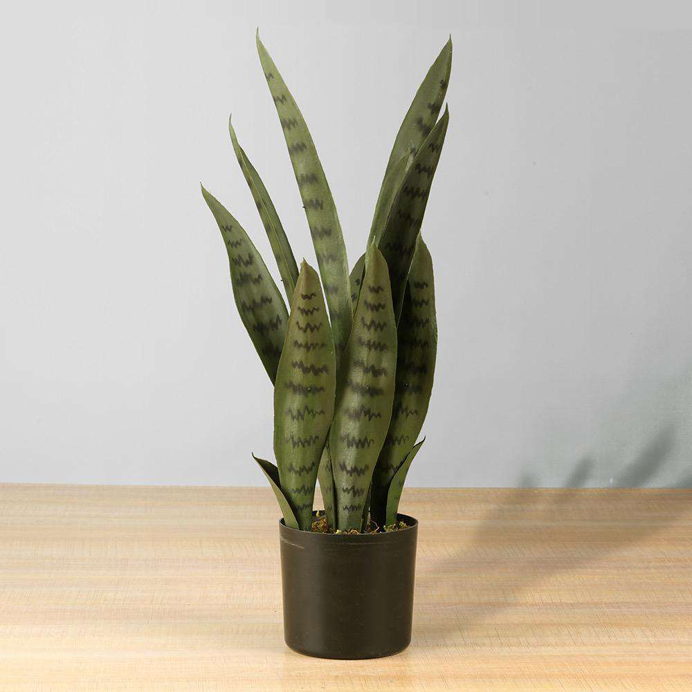 Dezi Künstliche Schlangenpflanze Sansevieria Dunkelgrün Getopft 53 cm