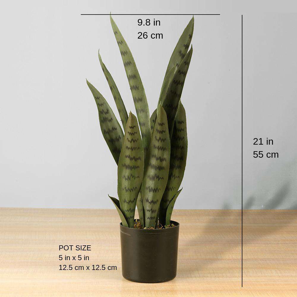 Dezi Künstliche Schlangenpflanze Sansevieria Dunkelgrün Getopft 53 cm