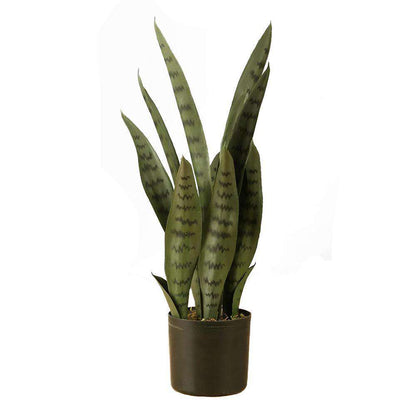 Dezi Künstliche Schlangenpflanze Sansevieria Dunkelgrün Getopft 53 cm