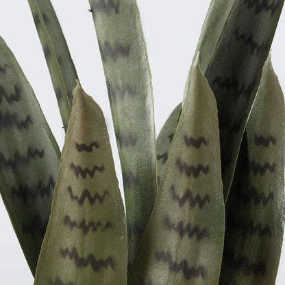 Dezi Künstliche Schlangenpflanze Sansevieria Dunkelgrün Getopft 53 cm