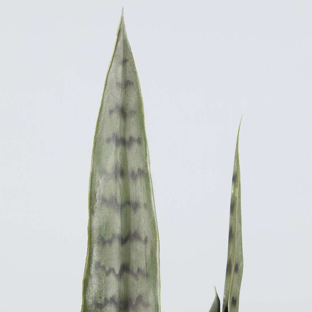 Dezi Künstliche Schlangenpflanze Sansevieria Dunkelgrün Getopft 53 cm