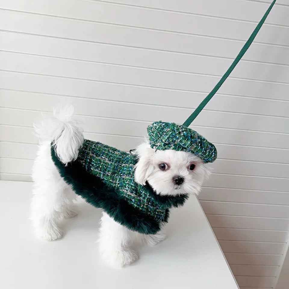 Evergreen Heritage Tweed Dog Harness Set | Harness Hat and Leash Outfit