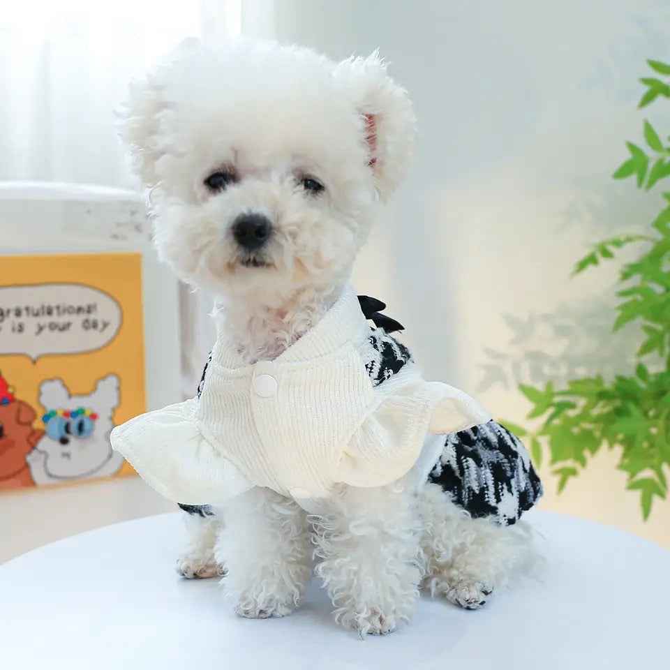 Mademoiselle Tweed Dog Dress | Pet Fashion Dress