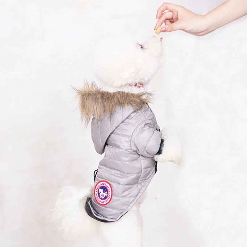 Canada Dog Jacket | Insulated Winter Dog Jacket with Fur Hood