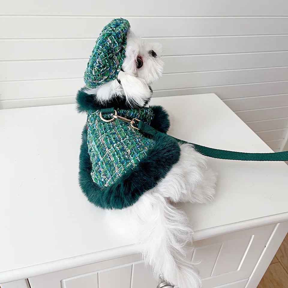 Evergreen Heritage Tweed Dog Harness Set | Harness Hat and Leash Outfit