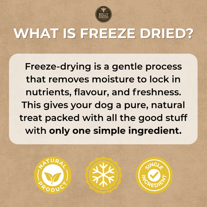 Freeze Dried Chicken 100g / 3.5oz