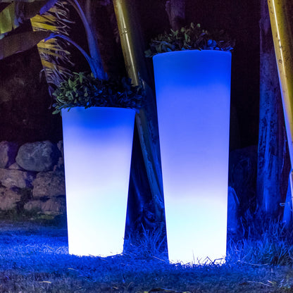 Ficus<br> Solar & Rechargeable